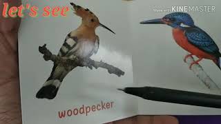 flying birds name in hindi 1