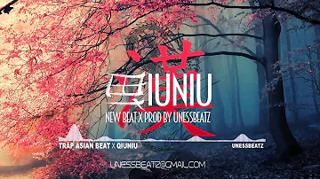 Asian trap beat 2022 | "Quiniu" Chinese trap type beat | Asian music instrumental (Uness Beatz)
