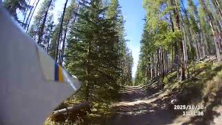 VID00002