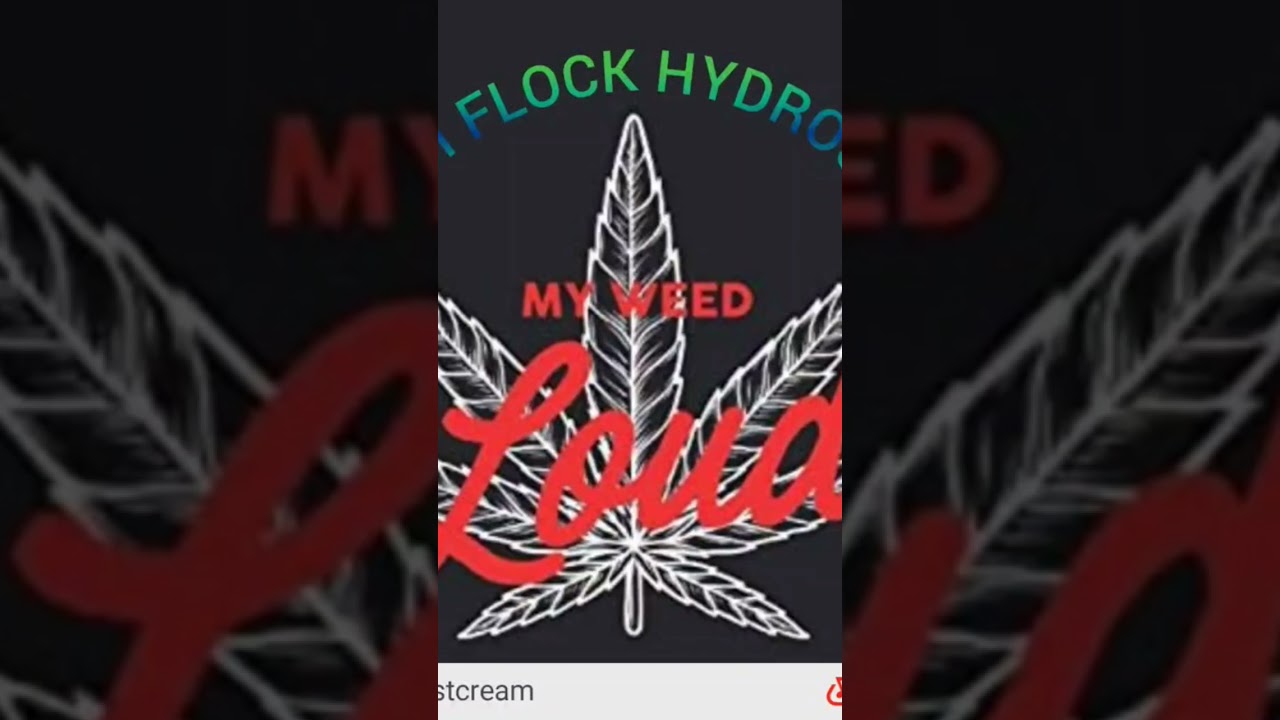 #loud