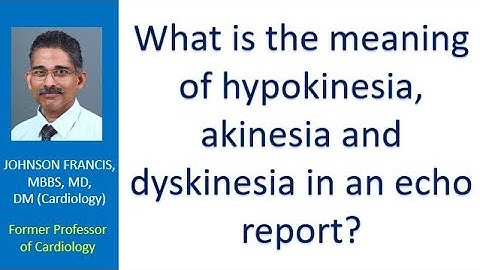 What is the meaning of hypokinesia, akinesia and dyskinesia in an echo report?