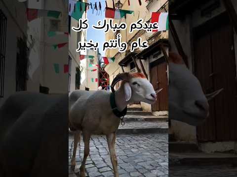 عيدكم مبارك كل عام وأنتم بخير