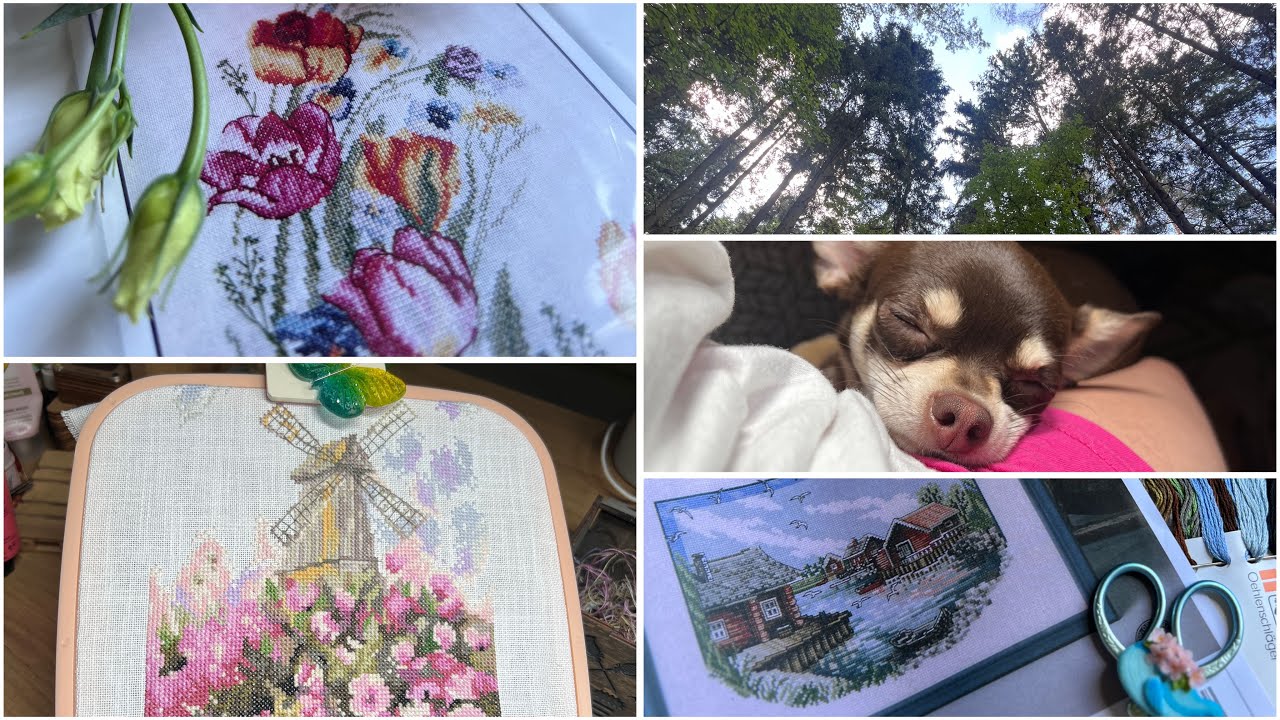 55. ВЛОГ. Покупки и подарки