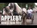 Gypsy cob  vanner horses  appleby horse fair 2012