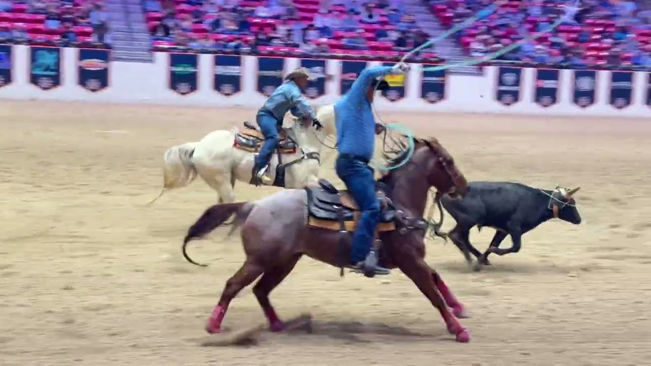 Team roping event at Southpoint in Las Vegas on December 6, 2025.