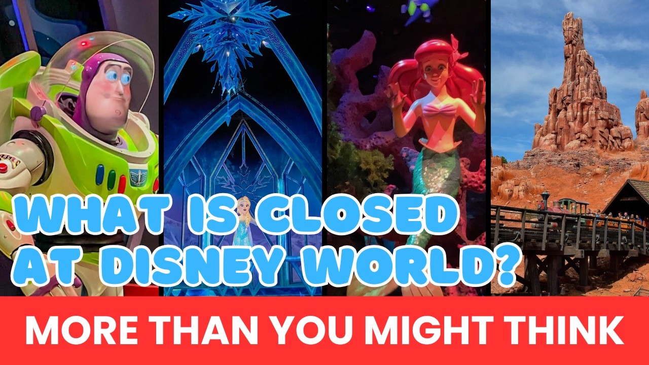 Disney Sets Sail With First Look at Live-Action ‘Moana’ | Disney News