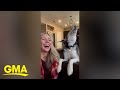 Watch this husky say &#39;I love you&#39;