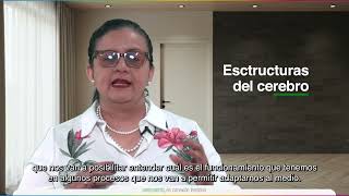 Introduction U3