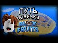 НАЧАЛО НОВИЧКА В БЛОКС ФРУТС!