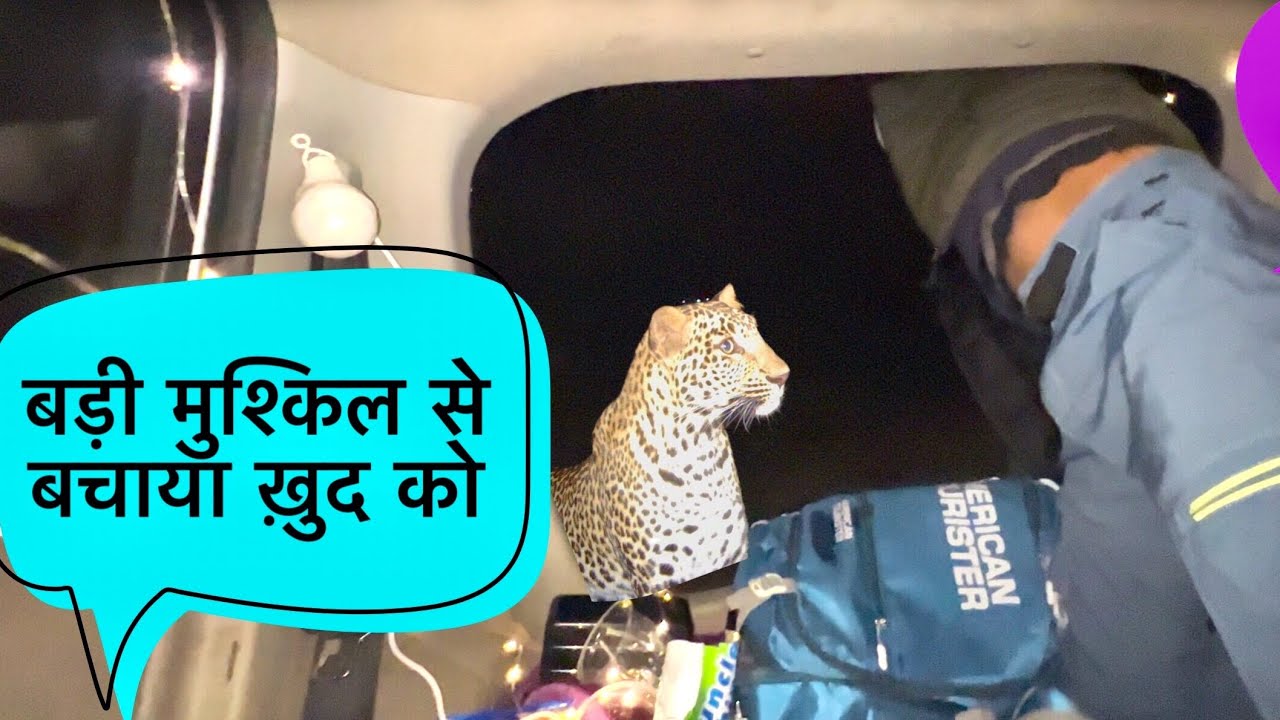 Leopard से जान बचाकर भागना पढ़ा OverNight Tent Camping in India