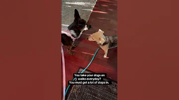How Our Walks REALLY Go 