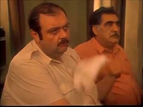 შვებულებაში ვარ, იურიდიულად - ცისფერი მთები ანუ დაუჯერებელი ამბავი