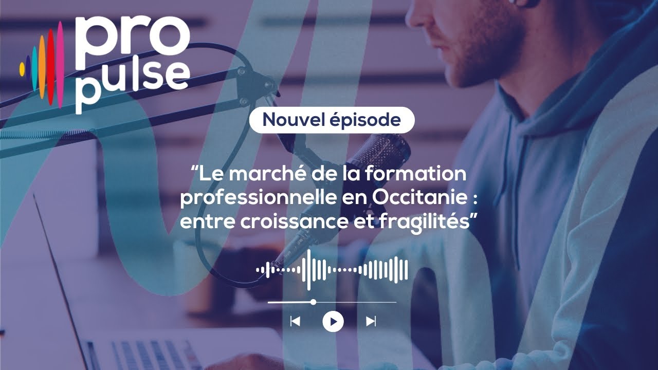 Le marché de la formation professionnelle en Occitanie : entre ...