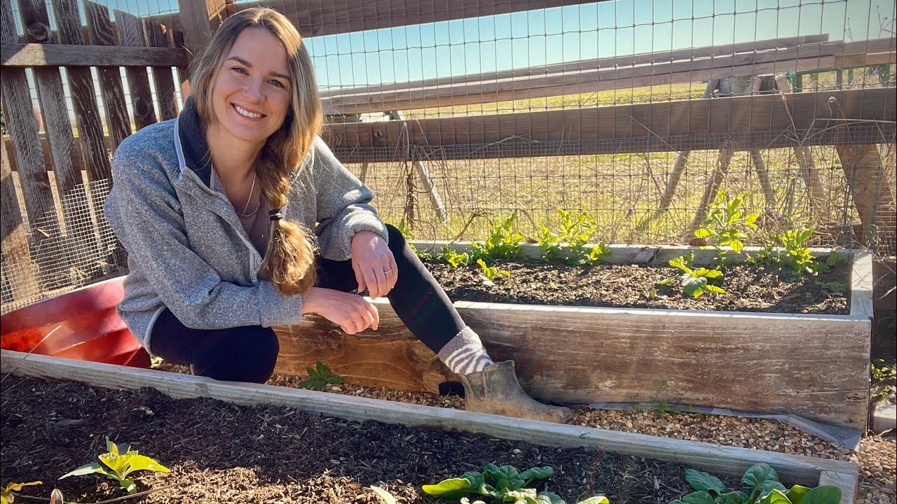 End Of The Year Garden Tour and 2024 Vision