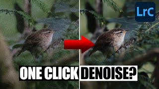 How Good is the NEW AI DENOISE in LIGHTROOM? | Tutorial Tuesday
