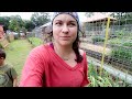 Moving a Rabbit into the Garden ON PURPOSE? | VLOG