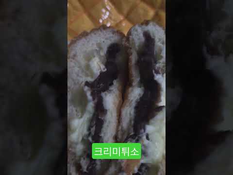 #성심당#성심당빵#성심당빵추천#성심당빵종류#성심당빵가격#성심당빵도장깨기#성심당빵뿌시기#성심당본점#가성비빵