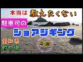 ライトショアジギングのサーフ／愛知県釣り場紹介【青物&車横付け&初心者OK】