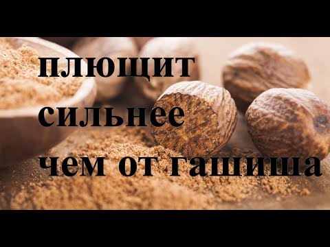 МУСКАТНЫЙ ОРЕХ ЗАМЕНА ГАШИША