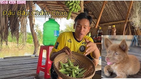 BUỔI CƠM CHIỀU VỚI MÓN ĐẬU BẮP CHẤM CHAO |TKG