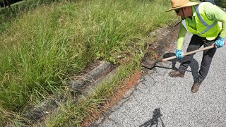 Neighbors Were THRILLED This OVERGROWN Vacant Lot Got Cleaned Up (Satisfying Transformation)