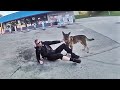 Officer and K9 Dragged by Fleeing Car in Florida