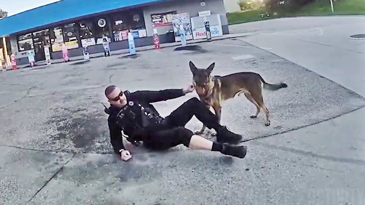Officer and K9 Dragged by Fleeing Car in Florida
