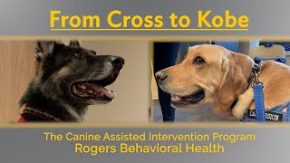 From Cross to Kobe | The Canine Assisted Intervention Program at Rogers Behavioral Health