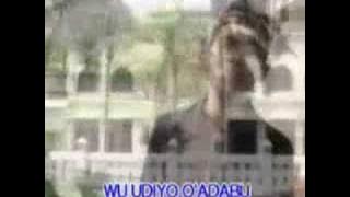 Buayi
