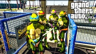 NINDZA KORNJACE MOD  GTA V