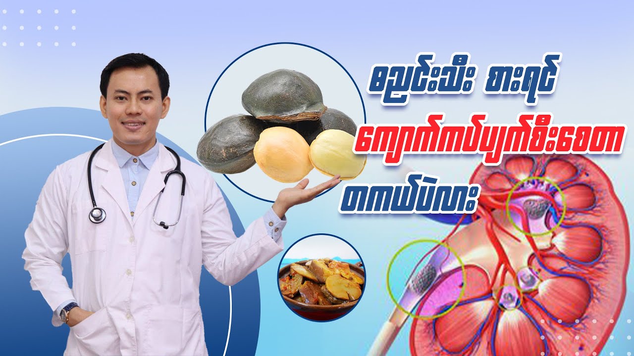 ဓညင်းသီးစားရင် ကျောက်ကပ်ပျက်စီးစေတာ တကယ်ပဲလား