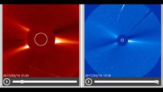 Which Rogue Comet Is This