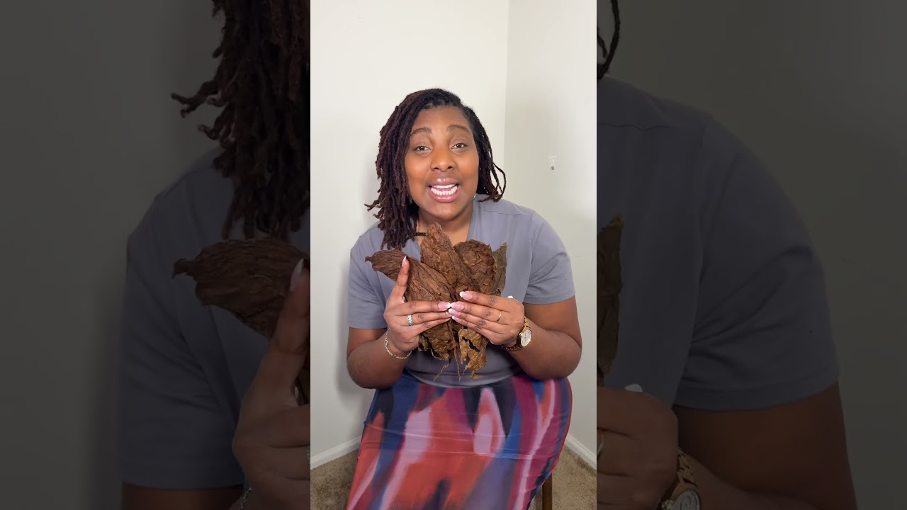 Topic: Dominican Criollo 98 Filler