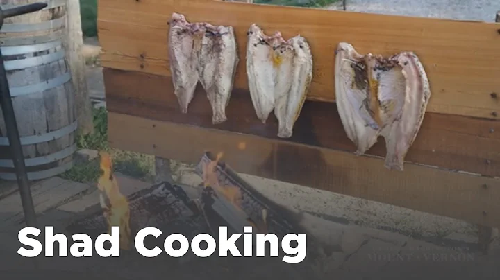 18th Century Shad Cooking