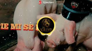 Pie Mi Se Iii And 5050 dj Kalyo Remix