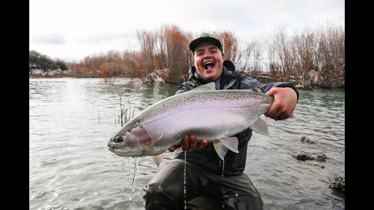 THE BIGGEST RAINBOW IVE EVER CAUGHT! The Fly Dudes fishing vlog 5 with Hushin outdoors!