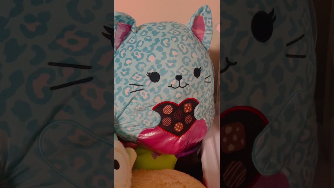 FYI: Teddy Bears or Other Stuff Plushies in Your Gift Basket/ A Plushies Worth