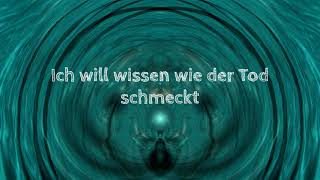 Böhse Onkelz - Es ist wie es ist (lyrics) HD