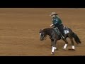 Shawn flarida y andimoe futurity 2022 1st go score 2285