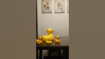 Thumbnail of Disco Duck