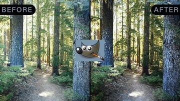 How to Use the Curves Function to Edit Photos in Gimp