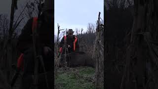 BEST DRIVEN HUNT POLAND 2023