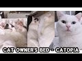 CAT OWNER&#39;S BED - CATOPIA