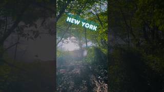 Free things to do in NY - Eastchester NY hike. No hills, just a flat walk with beautiful views 🧡💙