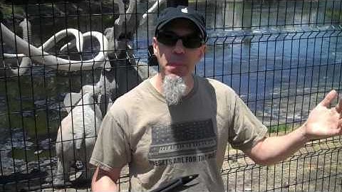 MORPHWIZ CONTEST VIDEO.m4v