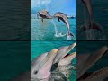 Cancun, Mexico