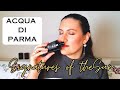 BUYING GUIDE | ACQUA DI PARMA SIGNATURES OF THE SUN | Italian Luxury | Smell Expensive