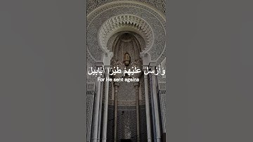 سورة الفيل تلاوة الإمام سعد الغامدي💗El Fil, Saad El Ghamidi