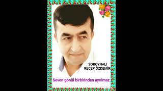 Seven gönül birbirinden ayrılmaz Resimi