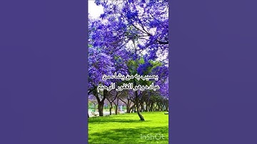 سورة يونس من آية 107: 109 بصوت ماهر المعيقلي